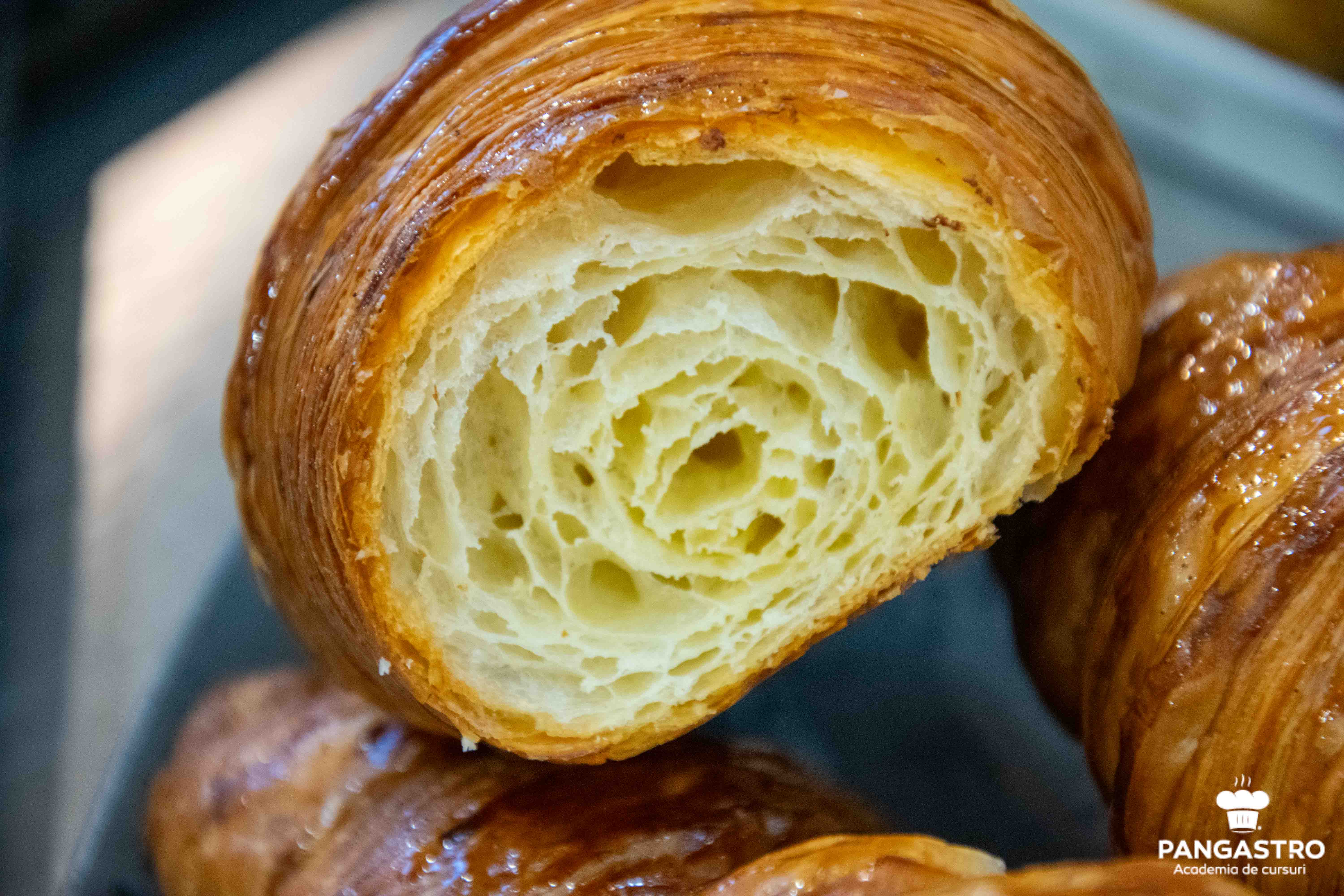 Curs de torturi consacrate, 6-7 mai 2019