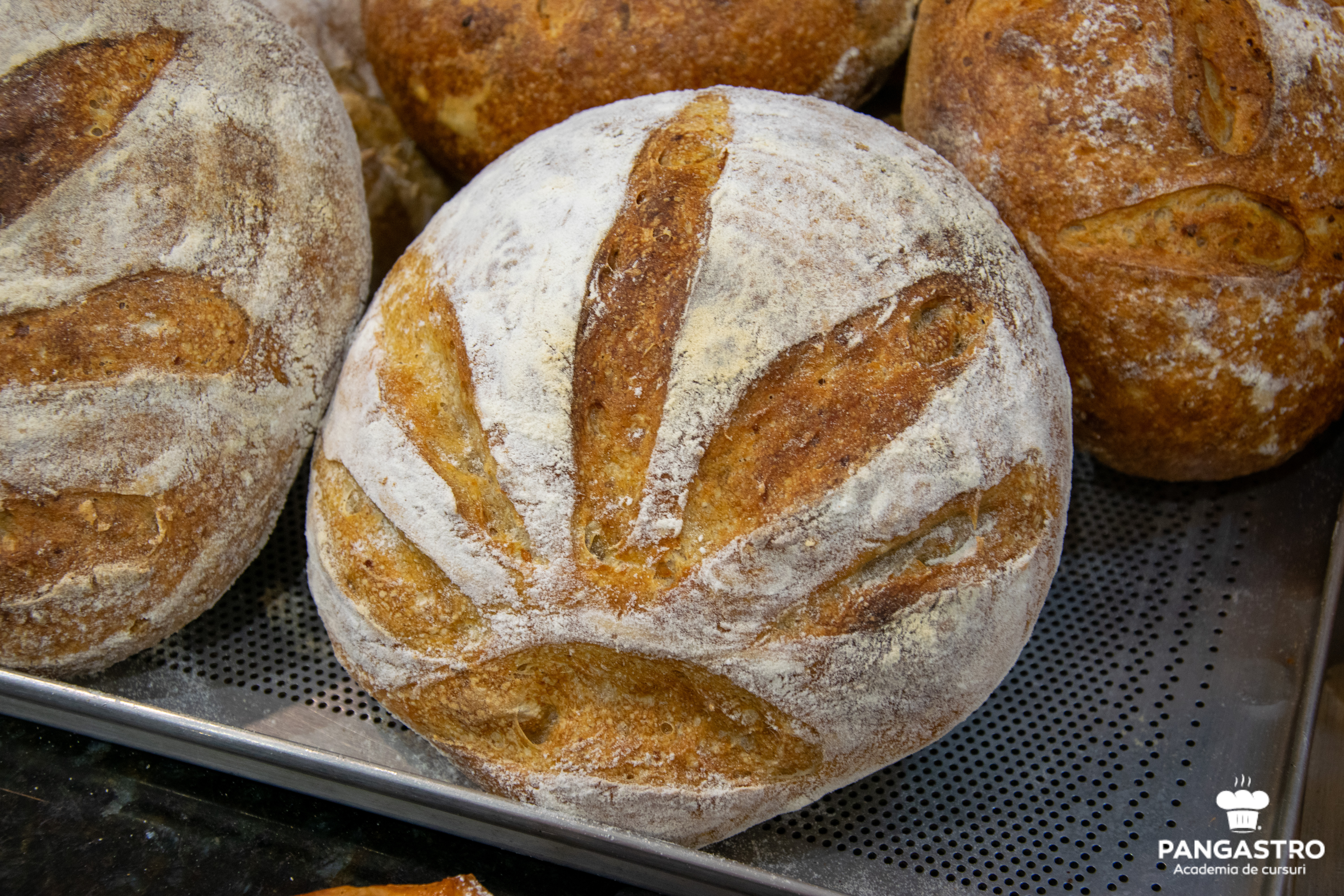 Curs de torturi consacrate, 6-7 mai 2019