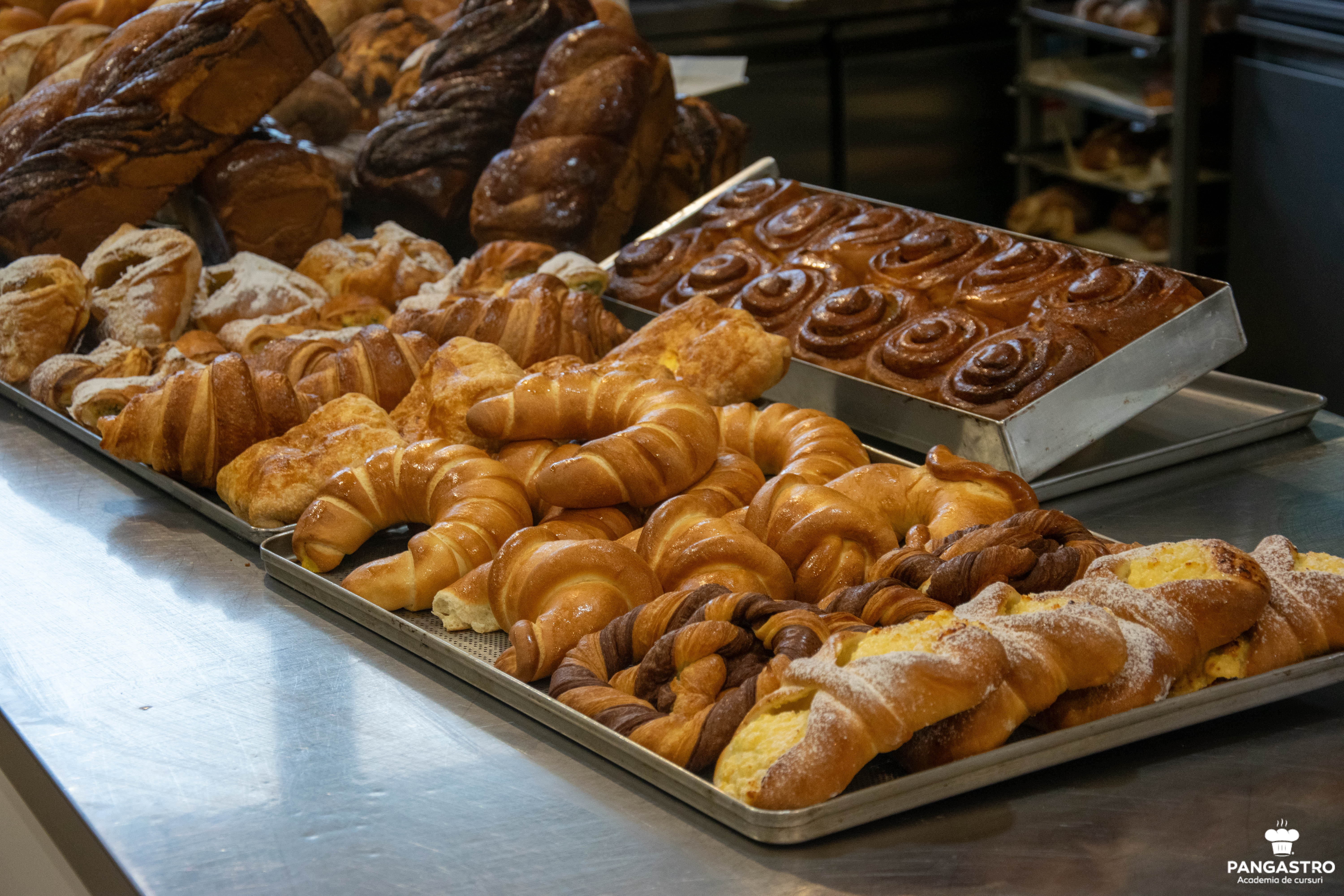 Curs de torturi consacrate, 6-7 mai 2019