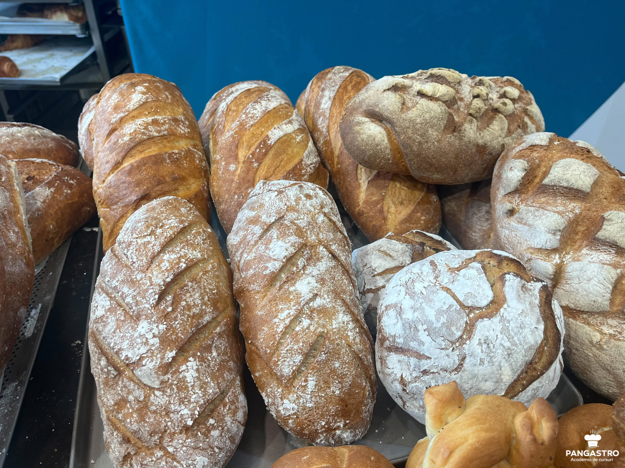 Produse de panificație și patiserie artizanală 2026-01-26-27